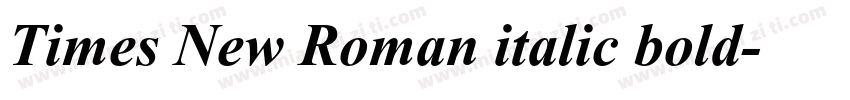 Times New Roman italic bold字体转换